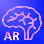 AR Human brain App Contact