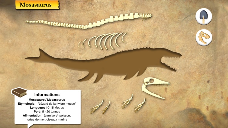 Dinosaures et Paléontologie