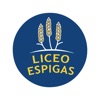Liceo Espigas
