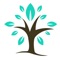 MyRoots: Family Tree Search is a great way to create your family tree
