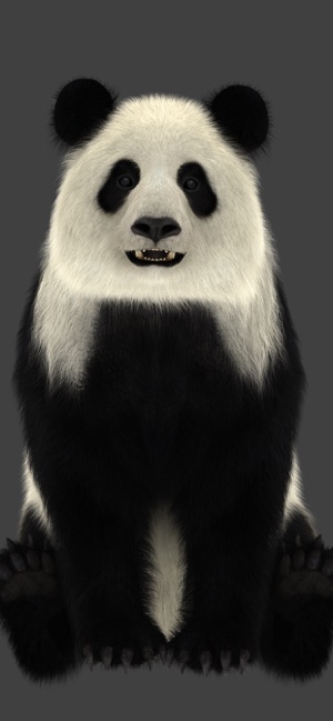 Panda AR(圖2)-速報App