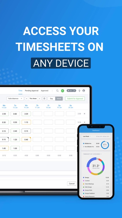 Avaza Timesheets screenshot-6