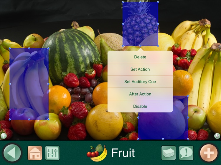 GoTalk® NOW LITE