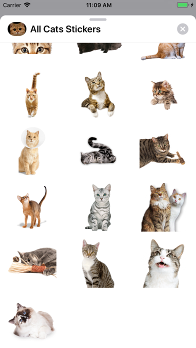 How to cancel & delete All Cats Stickers from iphone & ipad 4