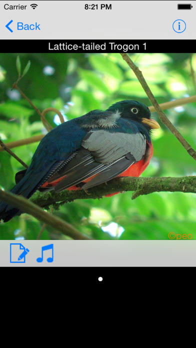 How to cancel & delete Panama Birds Field Guide from iphone & ipad 2