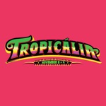 Tropicalia Fest