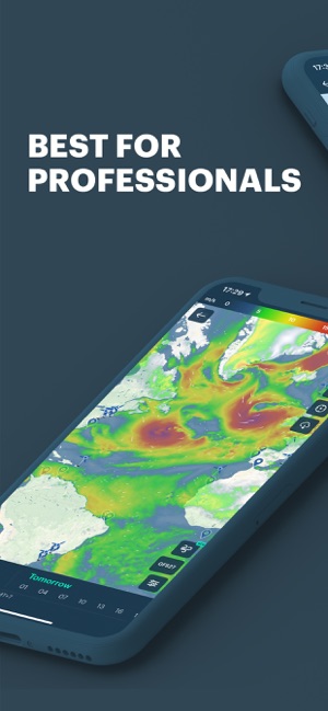 Windy Pro: marine weather app