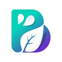 Bestrong pour PC