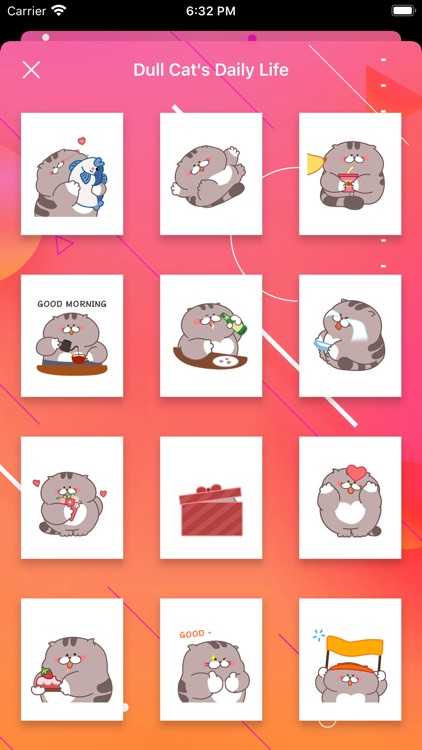 Dull Cat Card screenshot-3