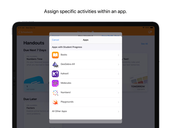 iPad Screenshot 3