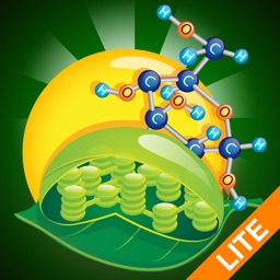 Biology Photosynthesis Lite