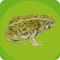 The Amphibians of Utah app has been developed in conjunction with the Hogle Zoo and the Utah Department of Natural Resources