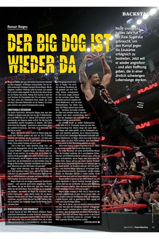 Power-Wrestling MAGAZIN screenshot 2