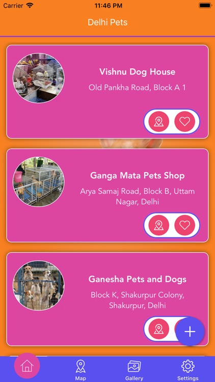 Delhi Pets