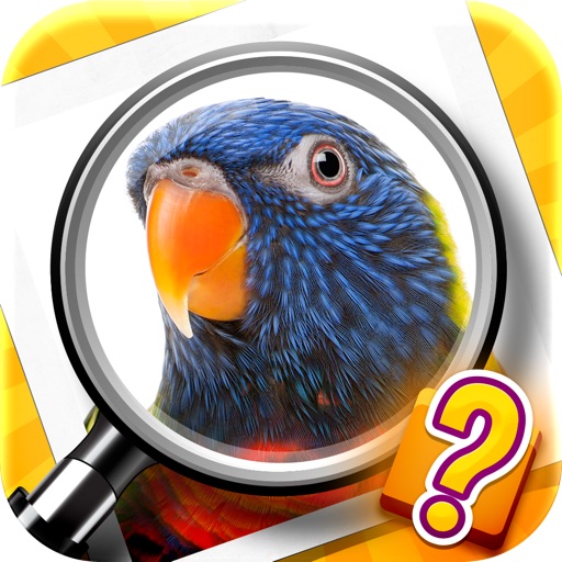 Zoom Quiz: a game of zoomed in pictures icon