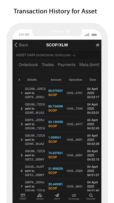 How to cancel & delete Scopuly - Stellar Wallet, SDEX from iphone & ipad 4
