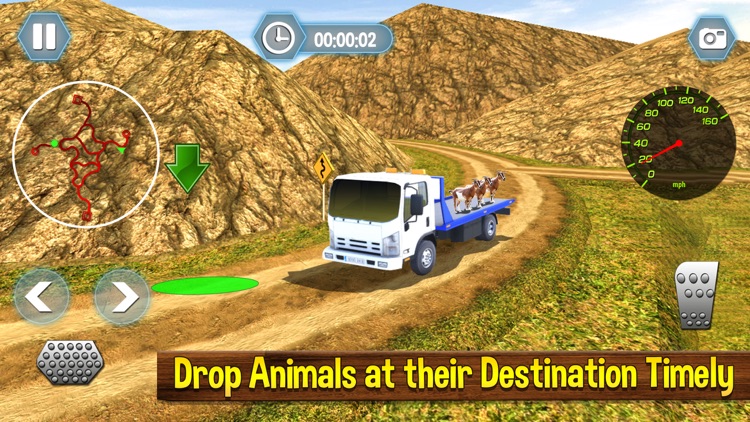 Safari Animals Truck Transport