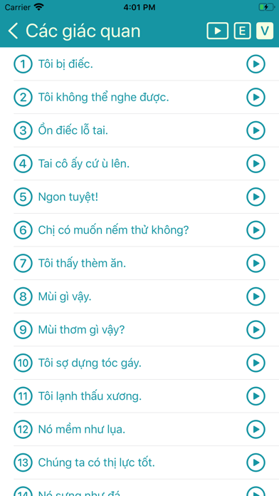 Tiếng Anh Giao Tiếp screenshot 4