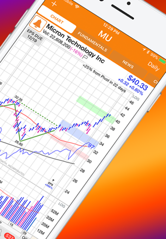 MarketSmith - Stock Research - náhled
