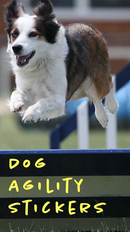 Dog Agility Stickers