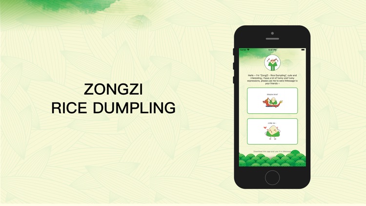 ZongZi - Rice Dumpling