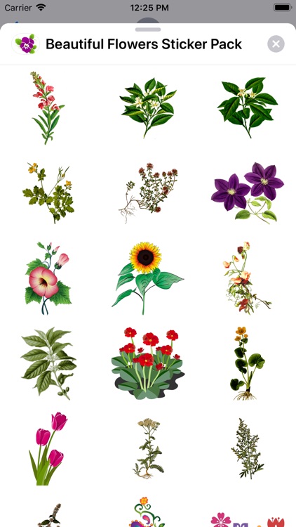 Beautiful Flowers Sticker Pack screenshot-3