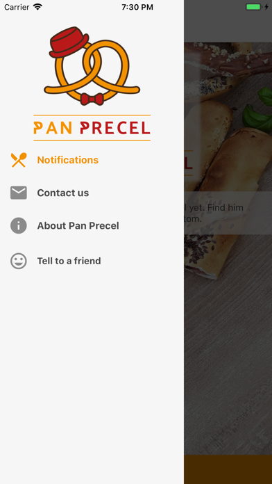 Pan Precel screenshot 4