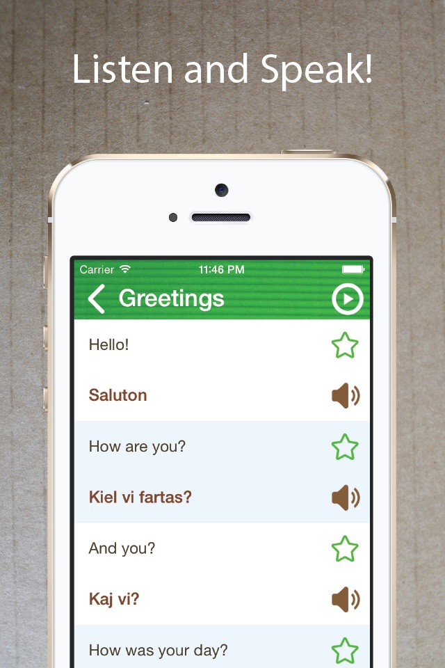 Learn Esperanto Phrasebook Pro screenshot 2