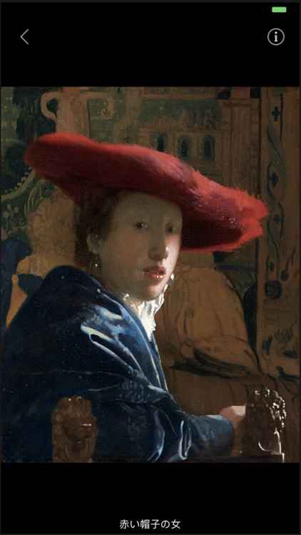 Vermeer AR Note screenshot-5