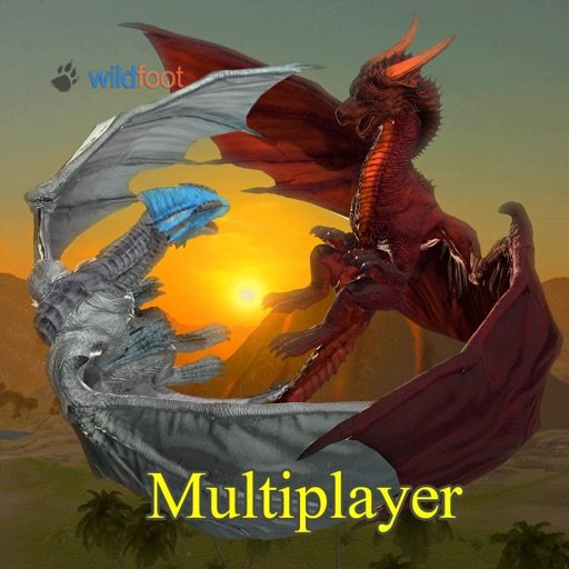 Dragon Multiplayer 3D