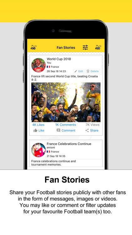 Football Fan