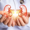 Renal education App