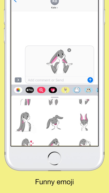 Funny bunny - cute rabbit