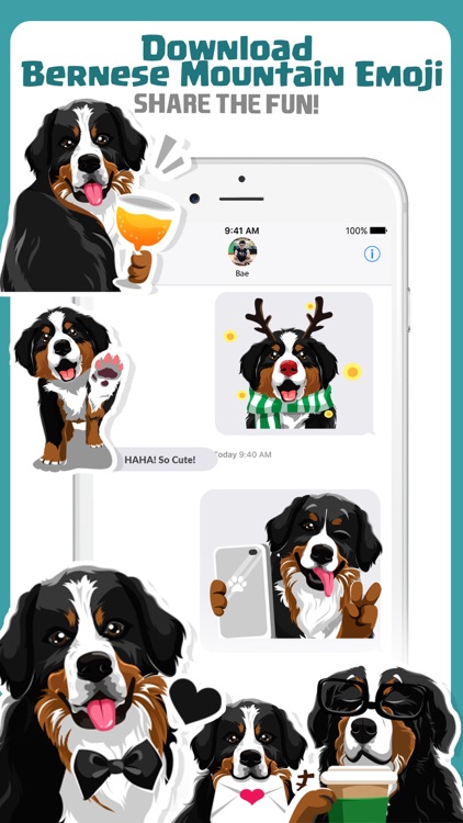 Bernese Mountain Dog Emoji screenshot-4
