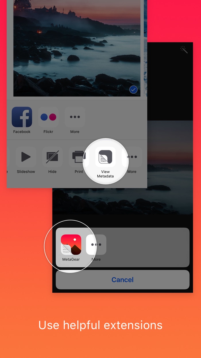 MetaGear - metadata editor