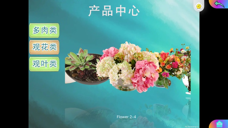 升洋洋鲜花 screenshot-3