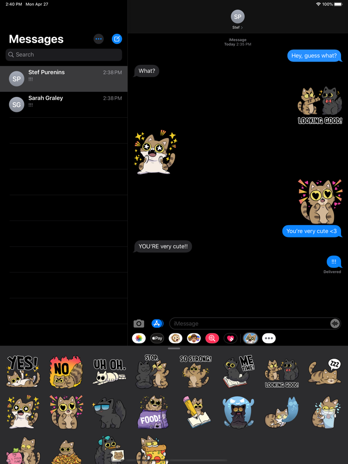 Our Super Adventure Cats