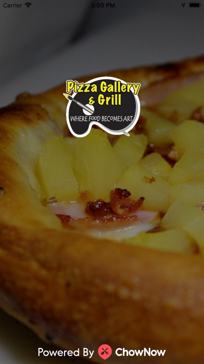 Pizza Gallery & Grill