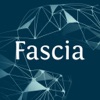 Fascia