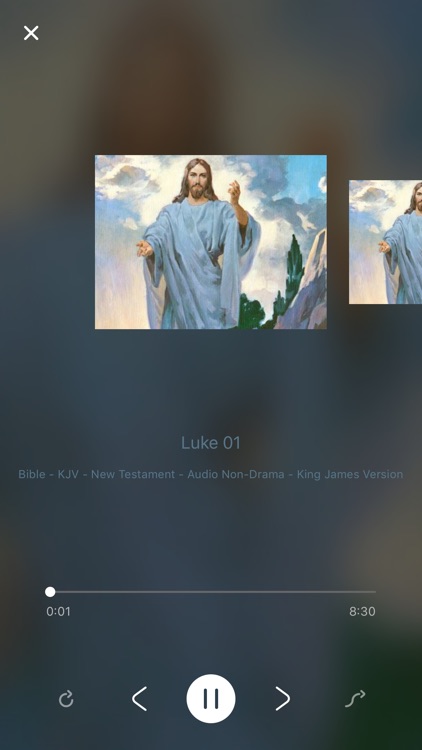 King James Audio Bible Book screenshot-3