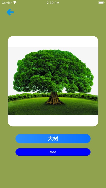 Learn Chinese Simple APP screenshot-6