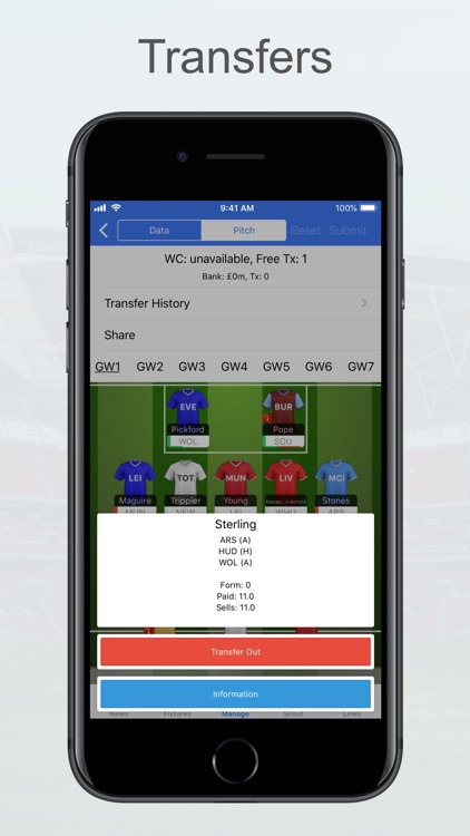 Fantasy Football Manager, Lite