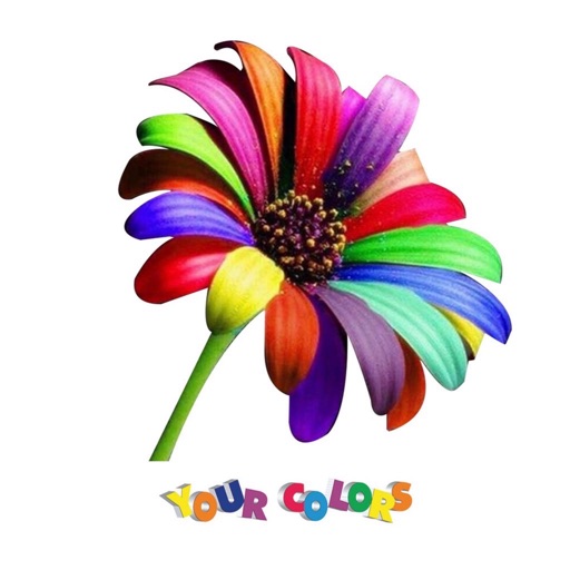 Your Colors