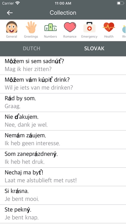 Dutch Slovak Dictionary screenshot-4