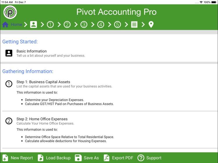 Pivot Accounting Pro