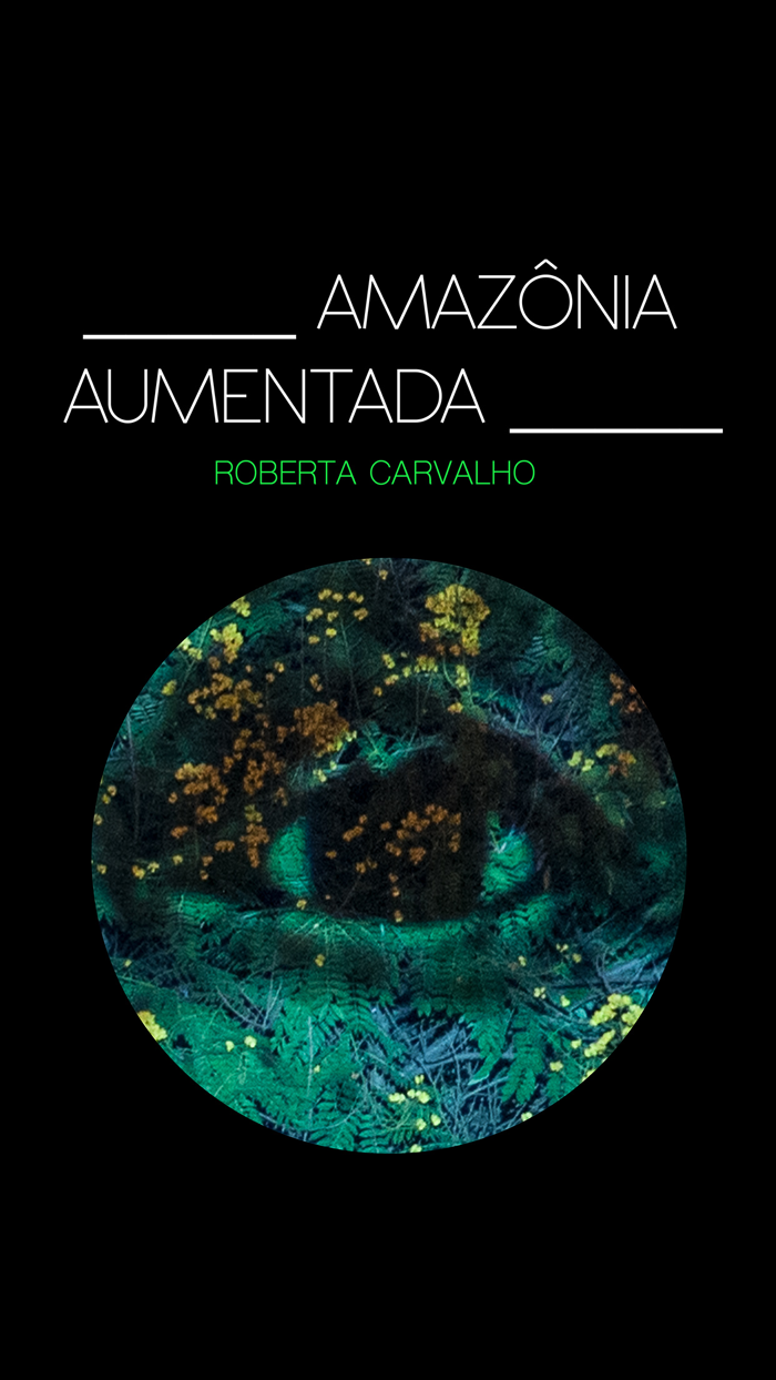 Amazônia Aumentada