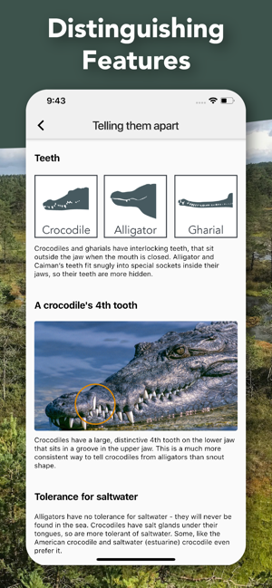 Crocodile, Alligator, Gharial(圖3)-速報App