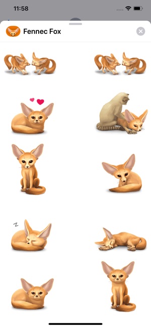 Fennec Fox(圖3)-速報App