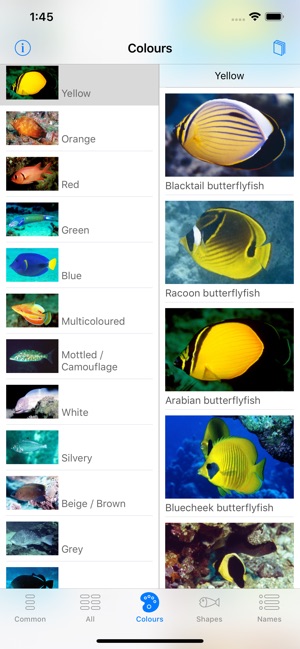 Oman Fish ID(圖3)-速報App