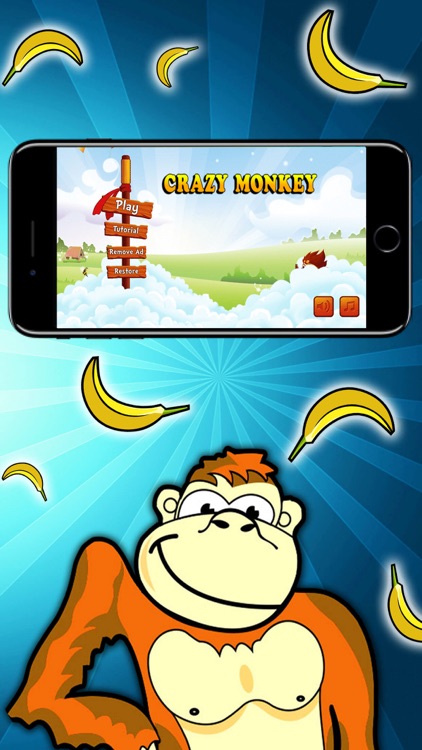 Crazy Monkey Hero Adventures